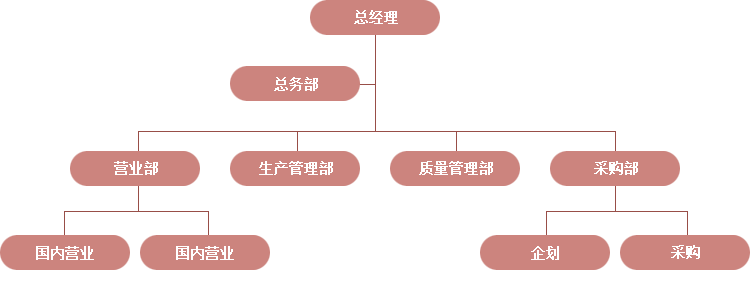 Oragnization Chart Image